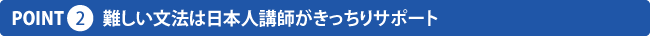 講師は日本語堪能なので、難しい文法もきっちり解説